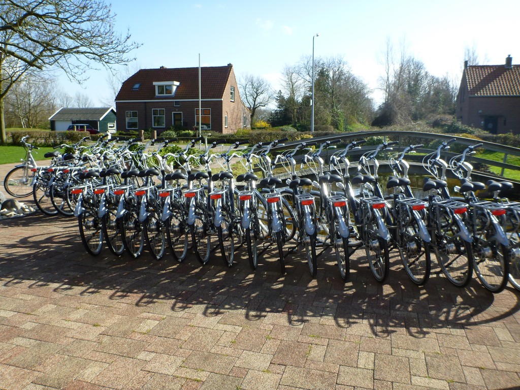 Fietsen in Ouddorp