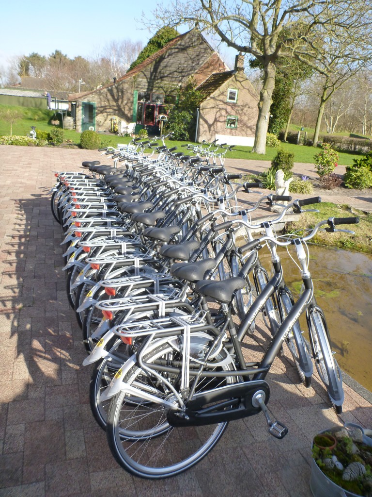 Fietsen in Ouddorp