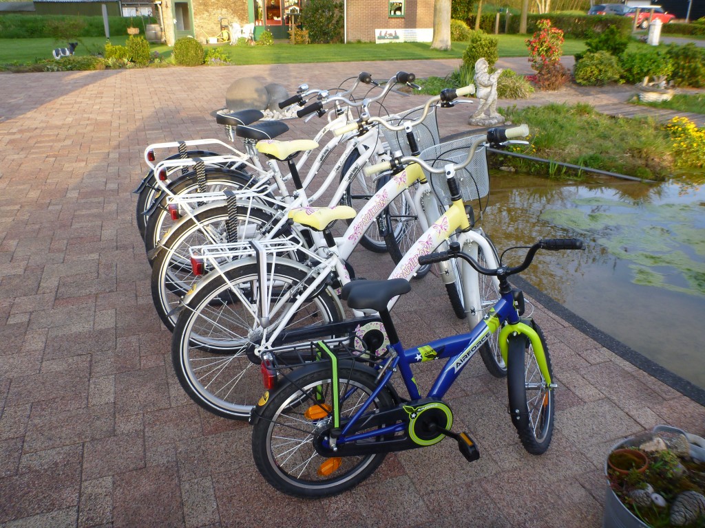 Fietsen in Ouddorp